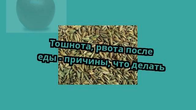 Тошнота, рвота после еды - причины, что делать смотреть онлайн