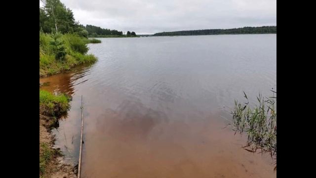 Прекрасный земельный участок СНТ Мир-2007 в Клину смотреть онлайн