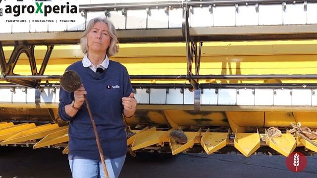 Уборка подсолнечника. Настройка жатки смотреть онлайн