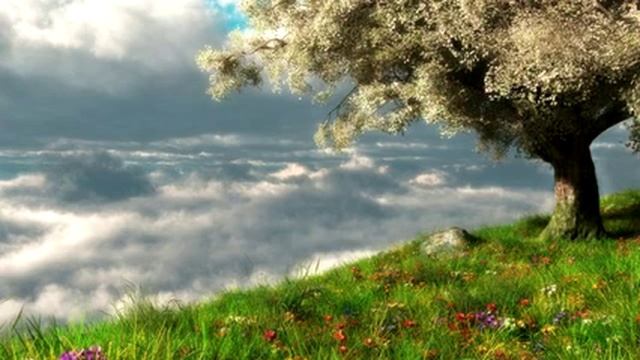 Ченнелинг "Как относится к техникам и медитациям" смотреть онлайн