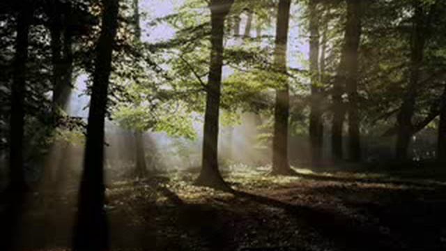 The AB Theory - Fatal Flaw Attractions смотреть онлайн