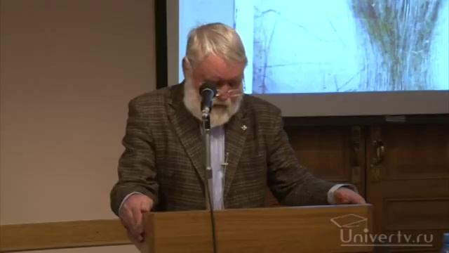 Монгольское иго на Руси