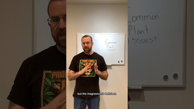 Are The Veins In Your Leaves Turning Yellow?