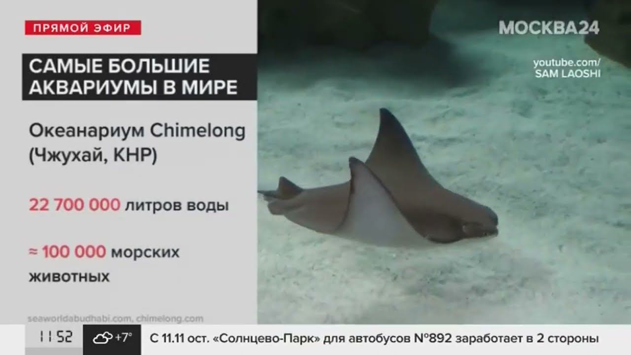 Совсем чуть-чуть об обслуживании больших аквариумов смотреть онлайн