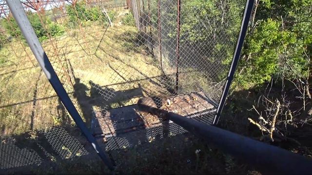 Прогулка в зоопарке Тайган, часть первая смотреть онлайн