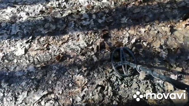 коп в лесу (удачно)поиск монет смотреть онлайн