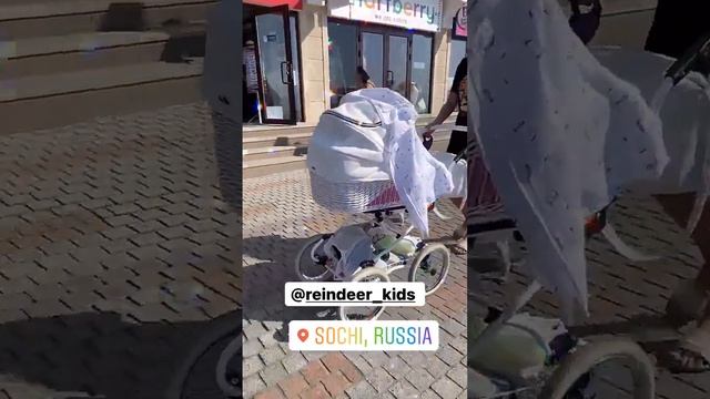 Коляска Reindeer Prestige Wiklina (цвет W3) для девочки смотреть онлайн