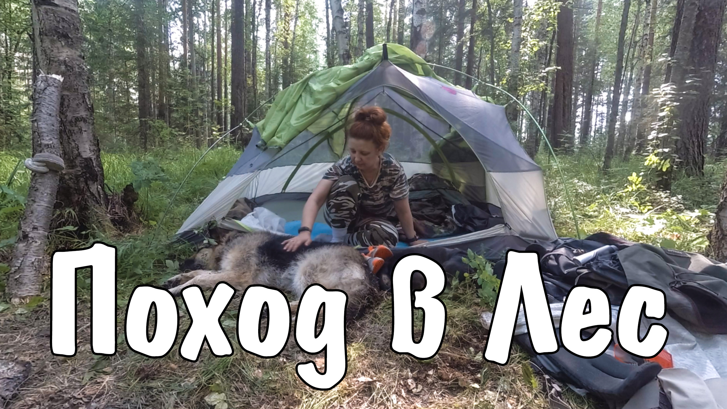 Поход в лес смотреть онлайн