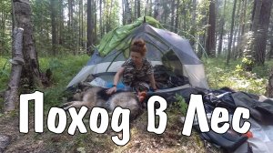 Поход в лес