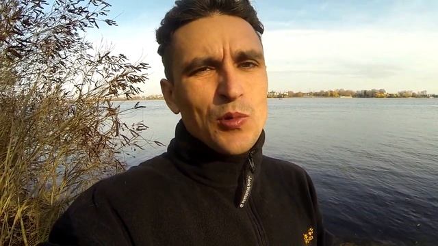 223. Обряд подчинения. Хочешь стать вожаком? Кто в семье лидер? смотреть онлайн