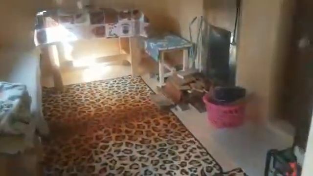КАРКАСНАЯ БАНЯ посёлок Снежный смотреть онлайн
