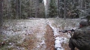 Как НЕ нужно стрелять в кабана