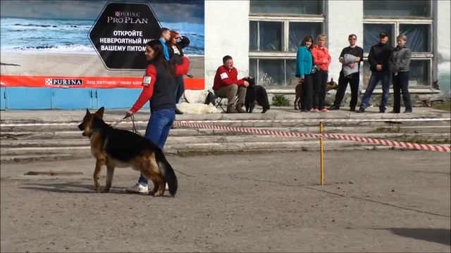сравнение Азия 2016 смотреть онлайн