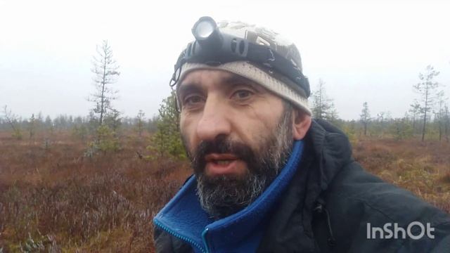 Секретный способ собрать клюкву. смотреть онлайн