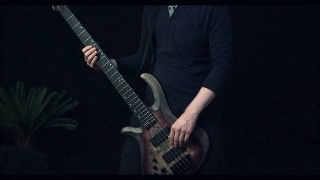 Wintersun – Sadness and Hate – bass cover смотреть онлайн
