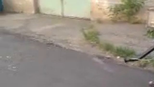 Ранцевый опрыскиватель КРАСНАЯ ЗВЕЗДА это еще и ВЕТРОДУЙ! смотреть онлайн