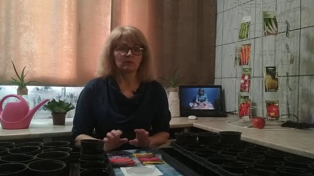 Как сеять томаты на рассаду. Когда сажать помидоры. Томаты рассада выращивание смотреть онлайн