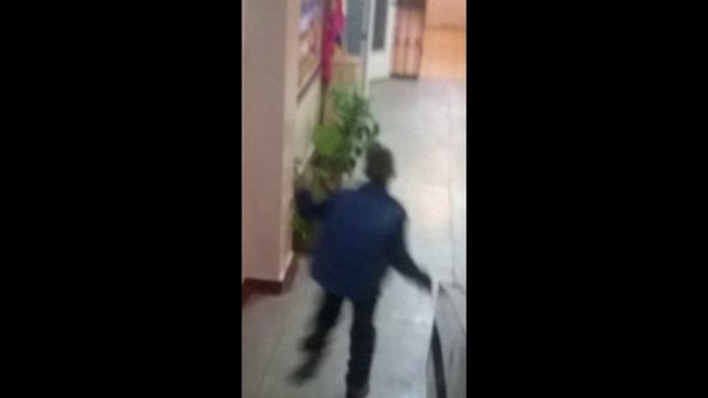 ?топ 7 ужасов снятых на камеру 2019! НЕ ШУТКА!!! |GARLI|? смотреть онлайн