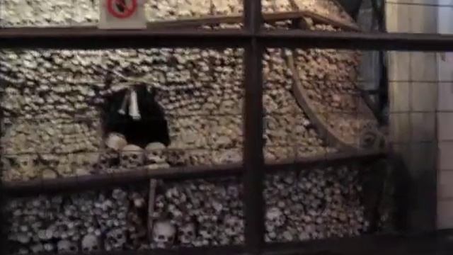 Колебания Созидания