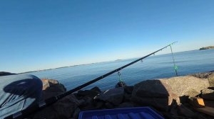 Финский залив, южная дамба, рыбалка на фидер...