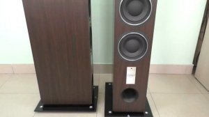 НАПОЛЬНАЯ АКУСТИКА TRIANGLE ESPRIT ANTAL EZ (ОРЕХ)