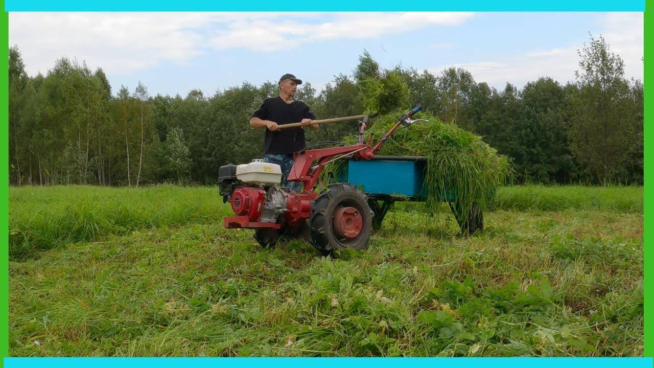 Поймал кто жрет картофель, с сеном - все, осы вытеснили со стройки, свекла удивила! смотреть онлайн