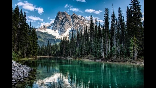 Много фото природы,и животных. Большое видео!