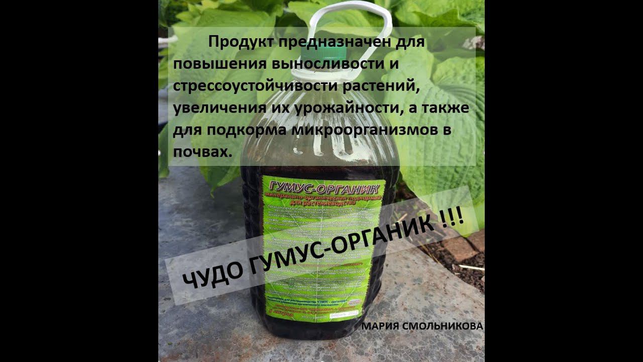 Чудо Гумус - Органик !!! Превращение земли в гумус и подкормка для растений !!! смотреть онлайн