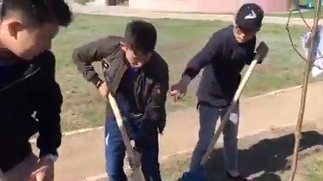 Аллея ЖАС КАНАТ смотреть онлайн