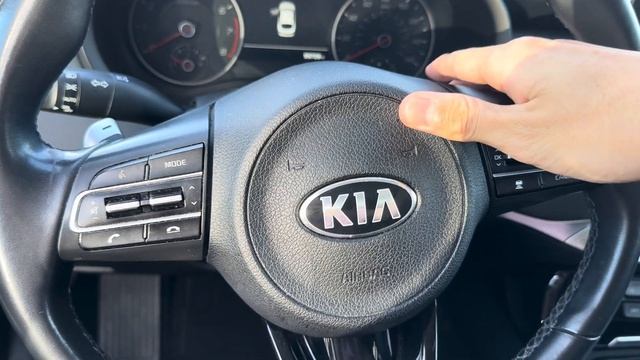 2018 Kia Stinger Premium Horn смотреть онлайн
