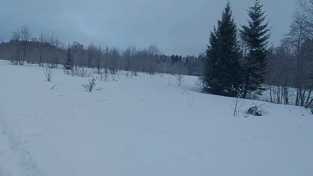 Долгожданная встреча после суток в лесу смотреть онлайн