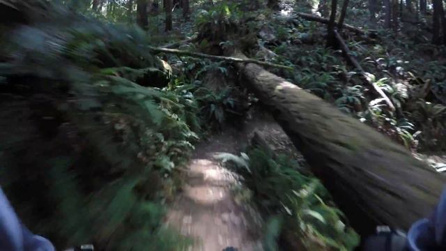 Mountain Biking Steam Donkey & Big Tree Trails смотреть онлайн