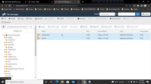 How to install Wordpress manually in Cpanel bangla tutorial смотреть онлайн