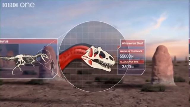 Аллозавр и кто его ест.