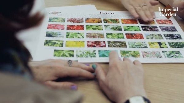 Садовый центр Imperial Garden