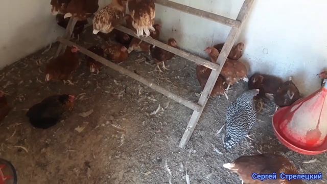 Решил всё поменять! Попробую по новому! смотреть онлайн