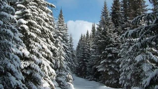 Тютчев-Зима смотреть онлайн