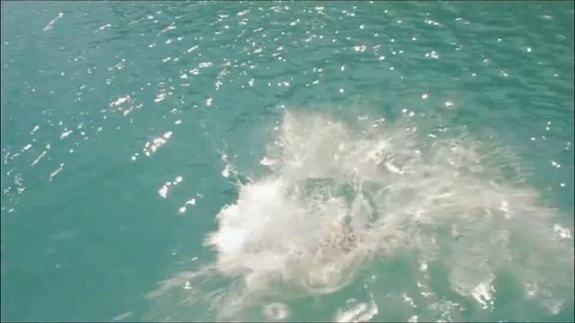 Imageclip Mango Tours Costa Brava - Karibik-Bootparty Katamaran смотреть онлайн