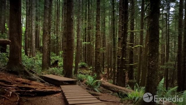 Vancouver Island Vacation Travel Guide | Expedia смотреть онлайн