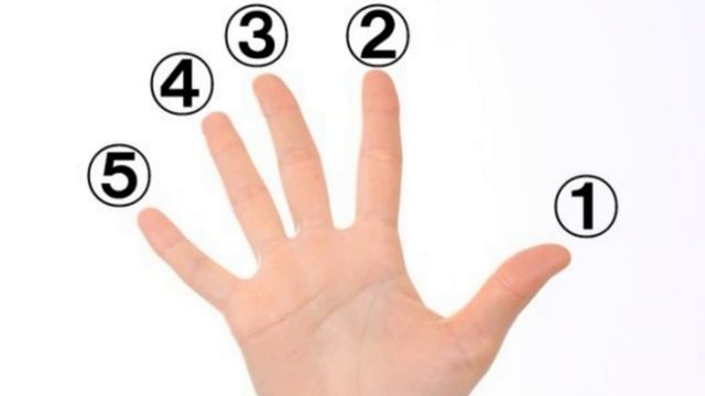 17 ноября / Сколько океанов на земле? смотреть онлайн