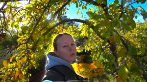 НАКОНЕЦ ТО РАЗОБРАЛИ ТО, ЧТО ДАВНО МОЗОЛИЛО ГЛАЗА. Правильные работы в саду.