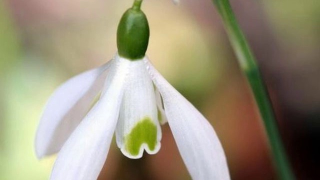 грустная история! смотреть онлайн