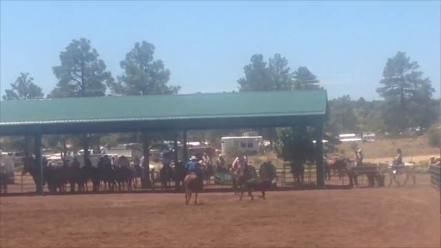 Ty смотреть онлайн