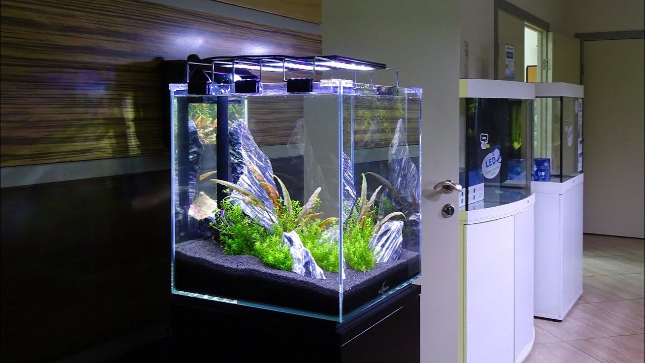 Аквариум с тумбой Q-SCAPE OPTI 35 смотреть онлайн