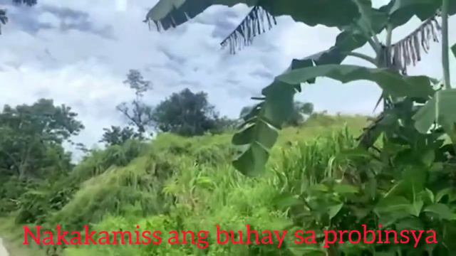 GREEN GREEN GRASS OF HOME | JINIBRAVO CHANNEL смотреть онлайн