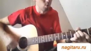 Местные -  СЕКТОР ГАЗА -  Аккорды, табы, бой