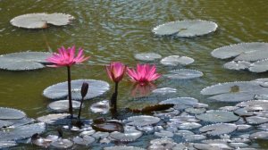 А кто - то третий...