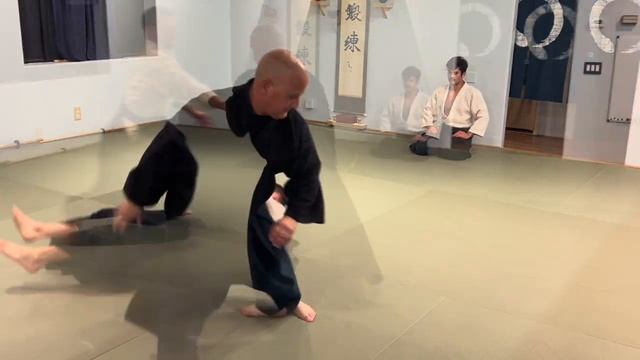Aikido: Corner Drop - Elbow, Shoulder, and Hand (Sumiotoshi) смотреть онлайн