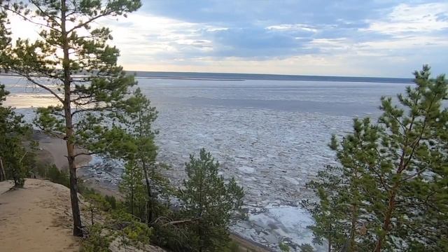 Весна на реке Лена. Якутск, Якутия. 19.05.2019 смотреть онлайн