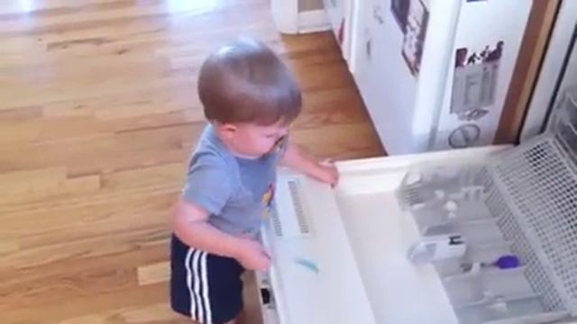 Van unloading the dishwasher смотреть онлайн